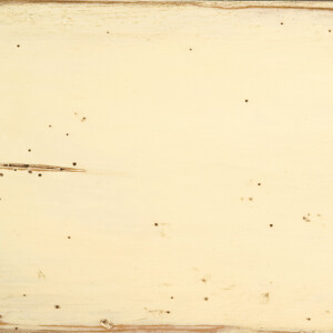 Antique Parchment