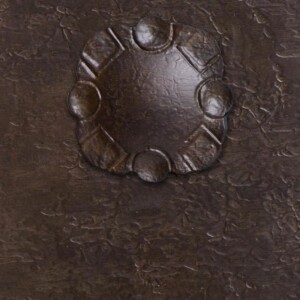 Bronzed Leather With Texture