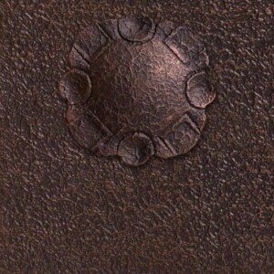 Copper Patina With Texture