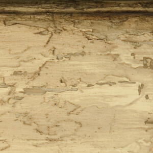 Chateau: Mushroom, Antique Parchment, French Cream