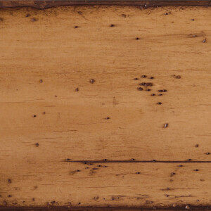 Heavy Burnished Chestnut